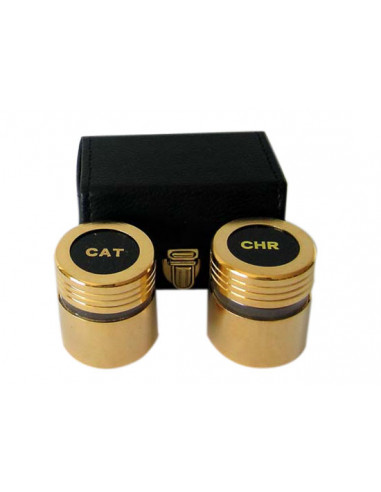 Crismera Estuche 2 Vasos Dorados N956