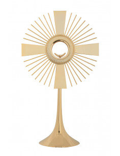 Custodia Dorada Tipo Timon...