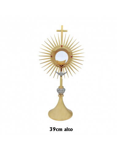 Custodia Dorada Rayos Nudo Plateado 4...