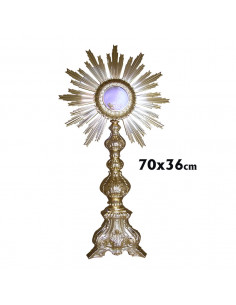 Custodia Metal Dorada...