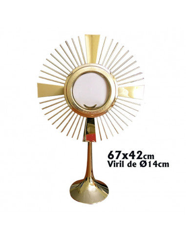 Custodia Metal Dorada Lisa Forma Extragrande N353m