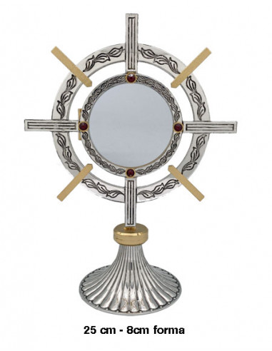 Custodia Plateada Bicolor Tipo Timon...