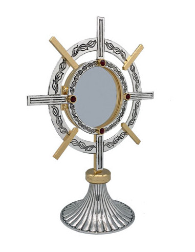 Custodia Plateada Bicolor Tipo Timon...