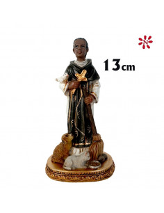 San Martin De Porres Res...