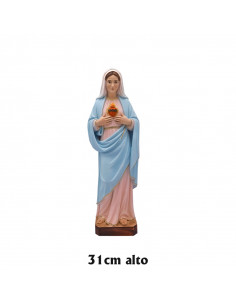 San Carlo Acutis Res 30Cm...