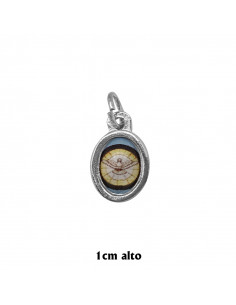Medalla Foto Oval Mini...