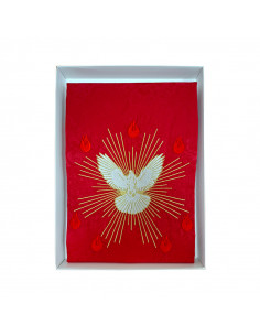 Camisa Sacerdote Negra...