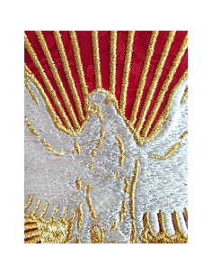 Camisa Sacerdote Negra...