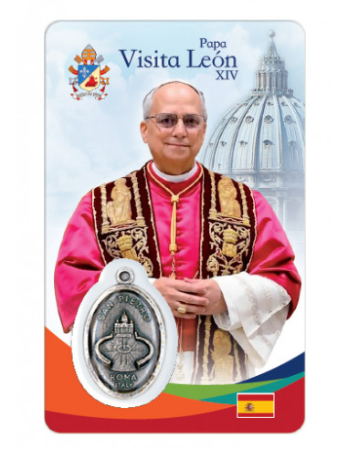 Estampa Cm N31031 Visita Papa Leon XIV