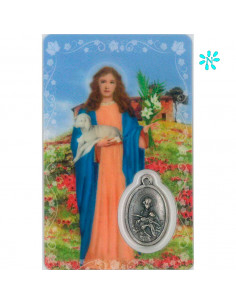 Estampa Cm N374 San Lucas