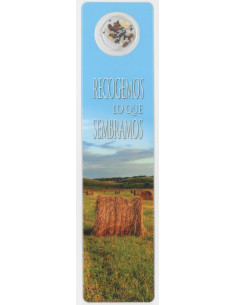 Separador Con Medalla...