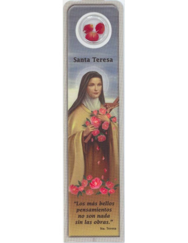 Estampa Con Oracion S-108/1/1 Santos...