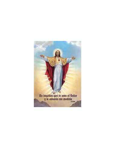 Estampa Con Oracion S-33/1 Jesus No...