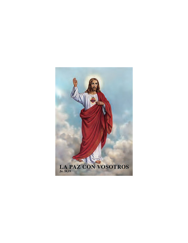 Estampa Con Oracion S-1039/1 Santa...