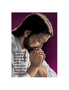 Incienso Pontifical 1/2