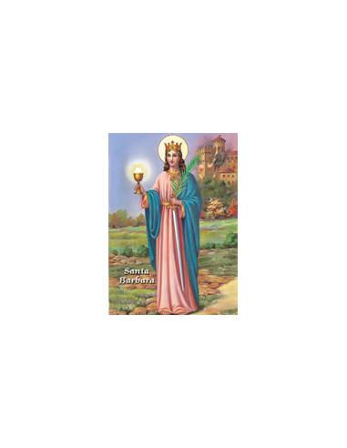 Estampa Con Oracion S-41/1 Virgen Rocio 7x11cm