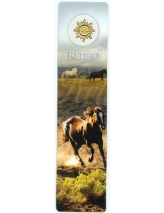 Estampa Cm N3625 Virgen Del...