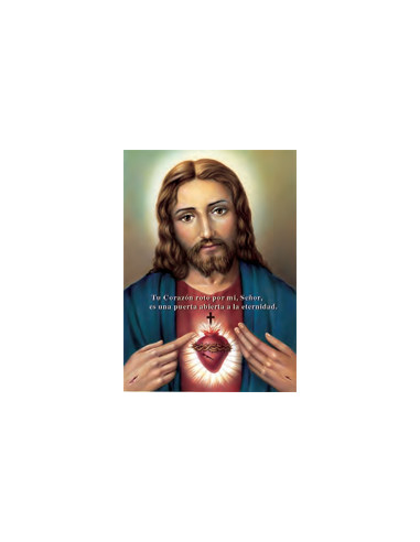 Estampa Con Oracion S-310/1 Virgen...