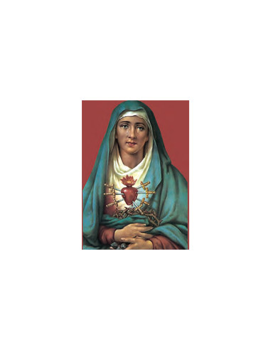 Estampa Con Oracion S-1033/1 Virgen...