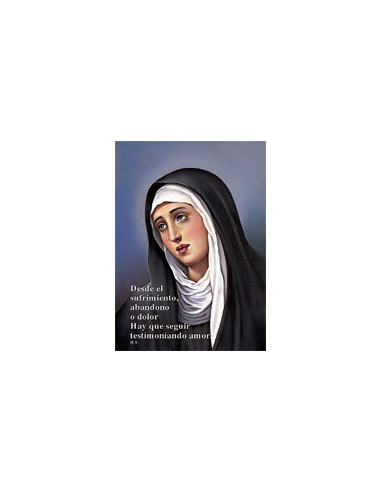 Estampa Con Oracion S-1034/1 Virgen...