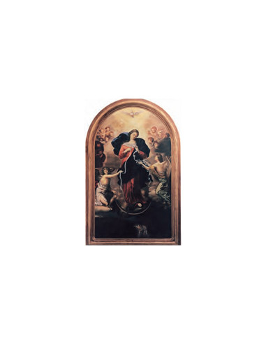 Estampa Con Oracion S-1078/1 Virgen...