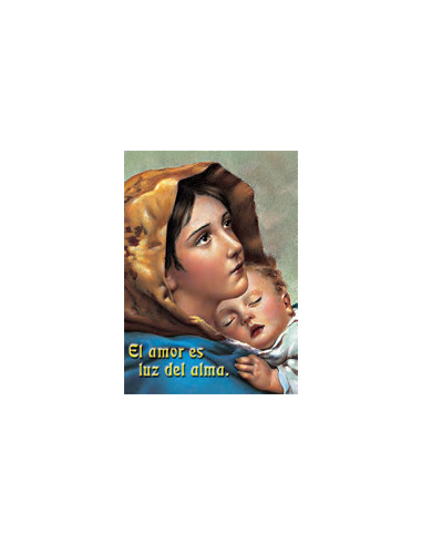 Estampa Con Oracion S-1007/1 Virgen...