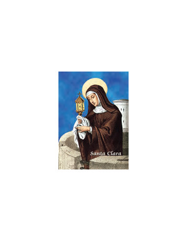 Estampa Con Oracion S-76/1 Virgen...