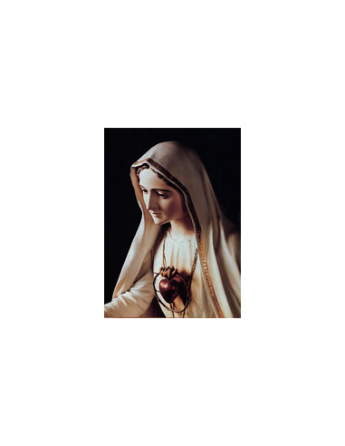 Estampa Con Oracion S-1026/1 Virgen...