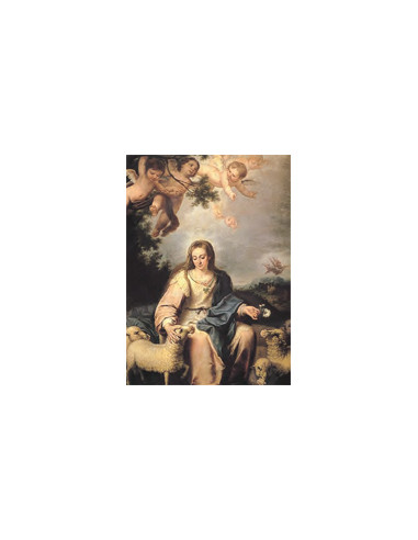 Estampa Con Oracion S-1076/1 Virgen...
