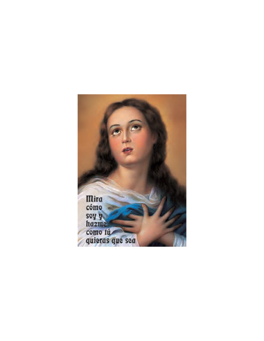 Estampa Con Oracion S-1026/1 Virgen...
