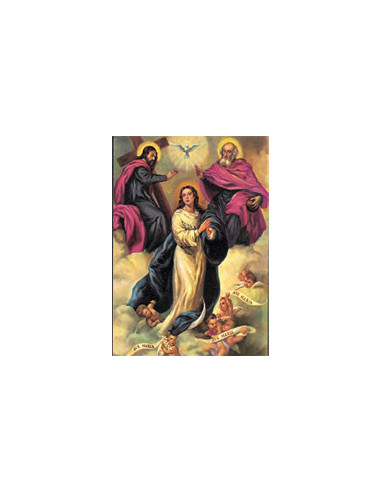 Estampa Con Oracion S-1076/1 Virgen...