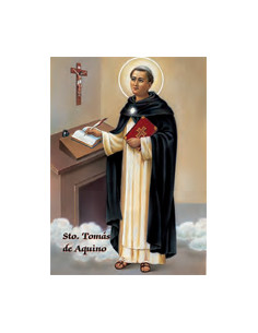 Estampa Con Oracion S-50/1...