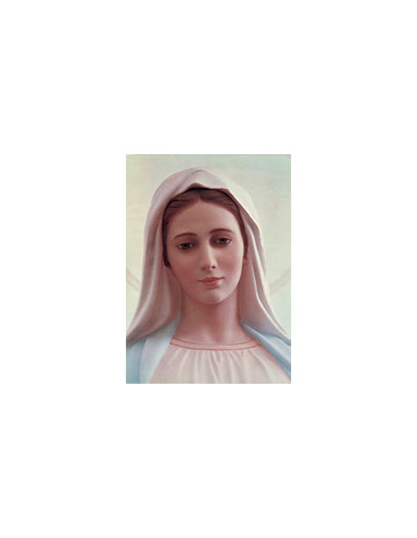 Estampa Con Oracion S-1062/1 Virgen...