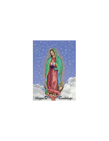 Estampa Con Oracion S-14/1/1 Virgen...