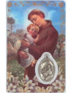 Estampa Cm N315 Virgen De...