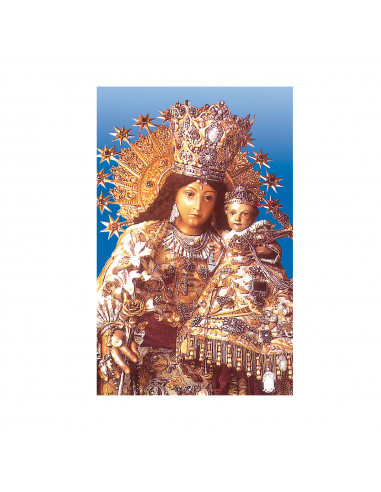 Estampa Con Oracion S-96/1/1 Virgen...