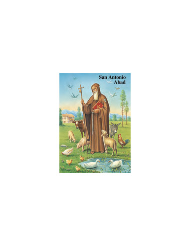 Estampa Cm N31014 Virgen Del Consuelo...