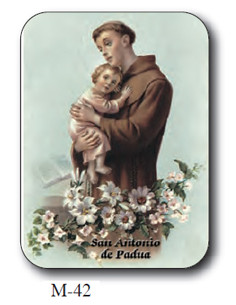 Estampa Mini M-21 San...