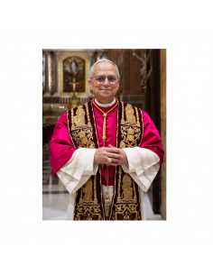 Estampa Papa Leon con...
