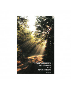 Pulsera Brazalete Imitacion...