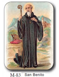 Estampa Mini M-83 San...