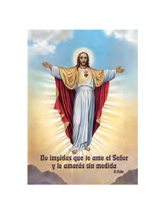 Estampa Con Oracion S-33/1...