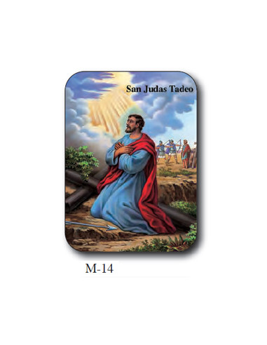 Estampa Mini M-14 San Judas Tadeo 4....
