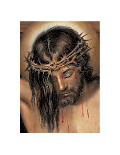 Estampa Con Oracion...