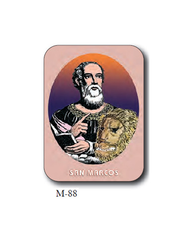 Estampa Con Oracion S-1078/1 Virgen...