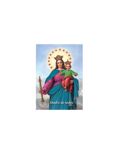 Estampa Con Oracion S-30/1/1 Virgen...