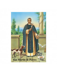 Lamina 21x30 CM San Martin...