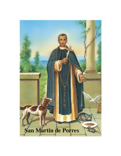 Lamina 21X30cm Virgen De...