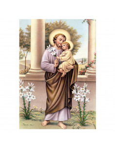 Lamina 21X30 Cm San Jose Sa-26