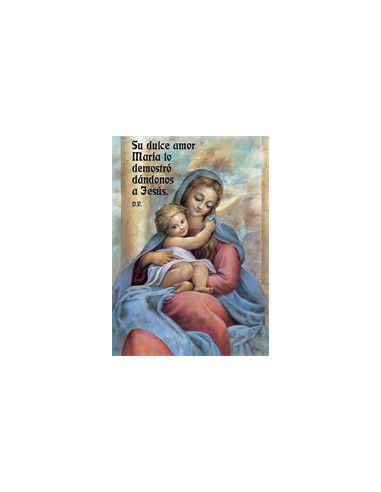Estampa Con Oracion S-1009/1 Virgen...